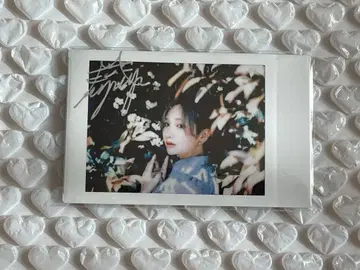 모치코 씨 폴라로이드