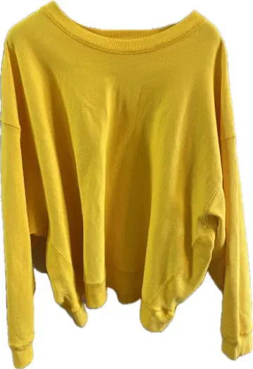 진화학 맨투맨 L