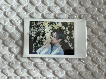 모치코 씨 폴라로이드