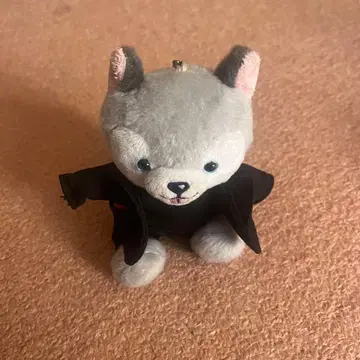 도리견 마츠무라 호쿠토