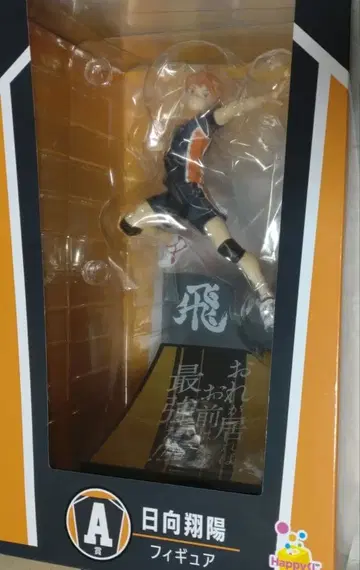 하이큐 복권 히나타 쇼요 피규어