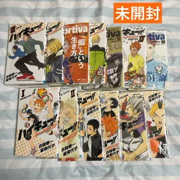 하이큐 쇼세츠반 전권 세트 미개봉 미독