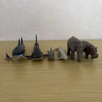 아니아 생물 세트