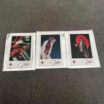 기사X-Knight X- 랜덤 포토 카드 일본 무도관 바우