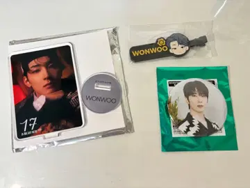 SEVENTEEN 원우 아크릴 스탠드 캔 배지 헤어 클립