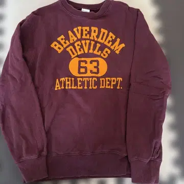 Champion 맨투맨 L