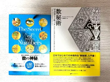 수비술과 숫자의 비밀 도서