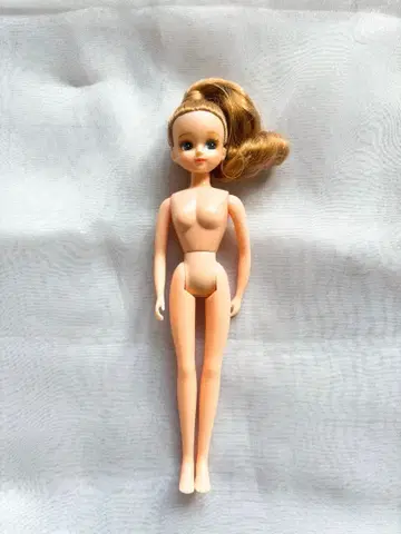 리카짱 캐슬제 커스텀 인형 소체