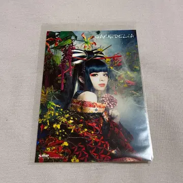 GARNiDELiA 메이리아 MARiA 브로마이드 생사진 미이레가 쇼비