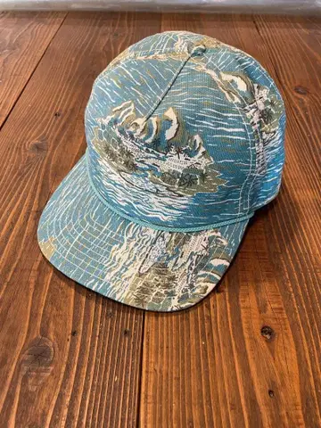 patagonia 캡 파랑 그린 파타로하 하와이