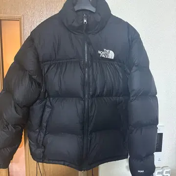 THE NORTH FACE 다운 자켓 눕시 700 US M 사이즈