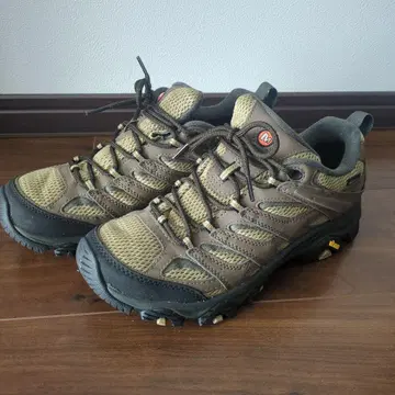 Merrell Moab 하이킹 슈즈 브라운/카키