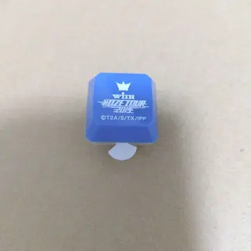 링 라이트 쇼고