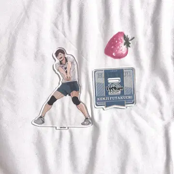 하이큐 후타쿠치 켄지 10주년 마루이 팝업 아크릴 스탠드