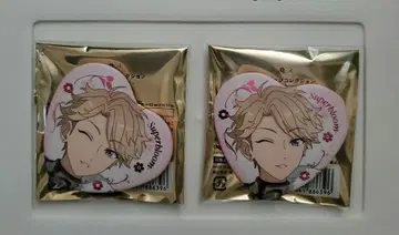 앙스타 아라시 스타포니 캔뱃지