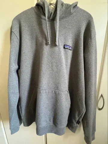 Patagonia 그레이 후드 부착 후드티