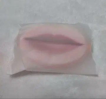 RADWIMPS 하라페 코인 케이스 굿즈