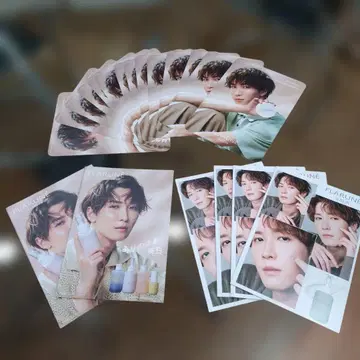 와타나베 쇼타 ALBION 프랄네 리플렛