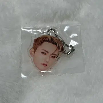 INI XQUARE 캡슐 토이 얼굴 아크릴 키링 타지마 쇼고