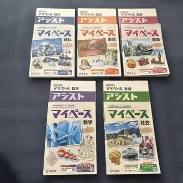 마이페이스 학보사