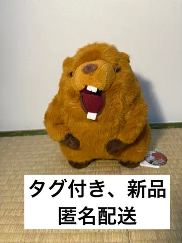 [ 새상품 ] 봉제 인형 중형