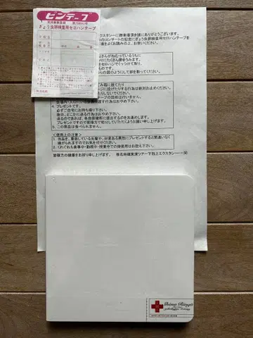 레어 시이나 링고 하극상 엑스터시 팜플렛 미개봉 플라이어 등