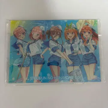 5등분의 신부 아크릴 플레이트 스플래쉬 썸머