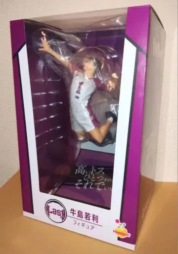 Happy 복권 [하이큐!!] Last상 우시지마 와카토시 피규어