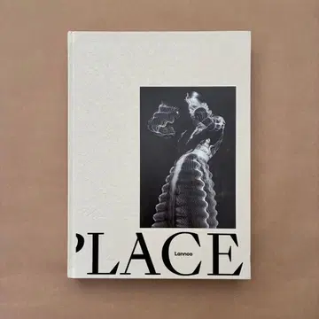 PLACES LOOKING THROUGH FLEMISH LACE