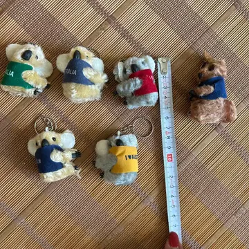 호주 코알라, 캥거루 키링 클립 6개 세트