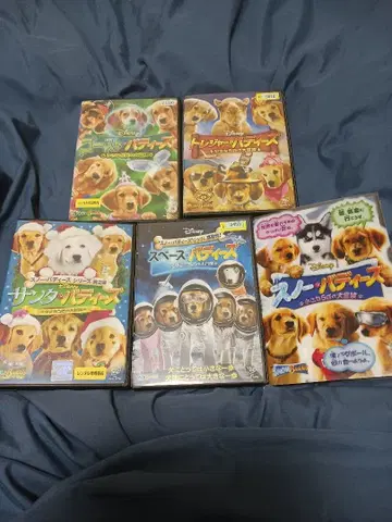 디즈니 버디즈 DVD 5장 세트