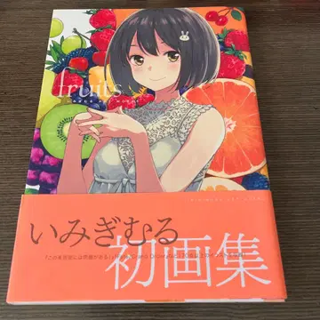 이미기무루 ART WORKS fruits 화집