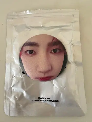 ZB1 쿠션 캔뱃지 장하오 하오