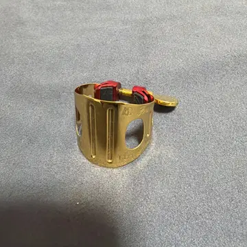 BG DUO 금 도금 알토용