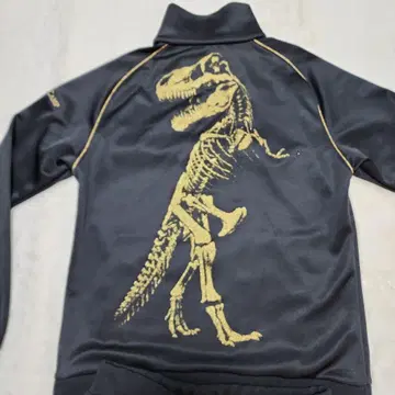 DRESSCAMP x 챔피온 저지 t-rex1형 M