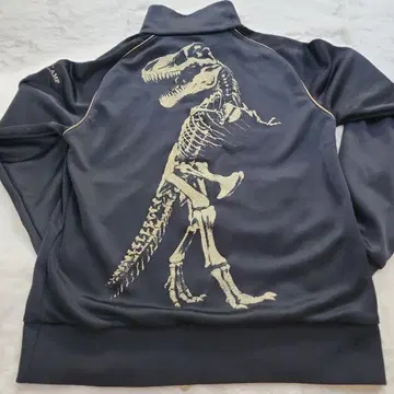 DRESSCAMP x 챔피온 저지 t-rex1형 M