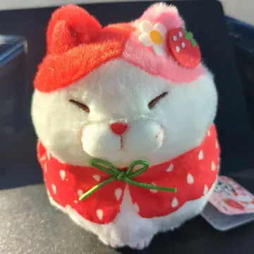 지역 한정 수염 만주 딸기 ST 미사마