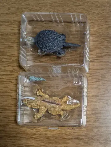 특촬대백과 가메라 자이가