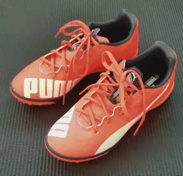 푸마 트레이닝 슈즈 에보 스피드 4 TT