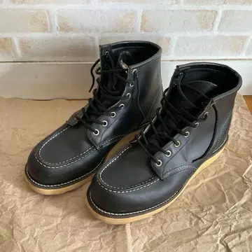 레드윙 아이리쉬 세터