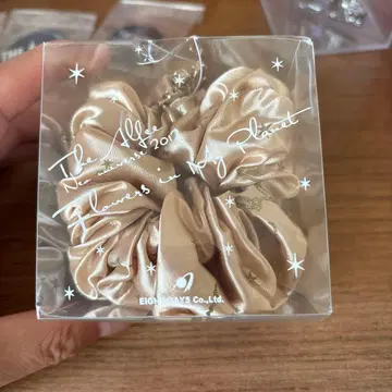 THE ALFEE 2012년 스크런치 (골드)