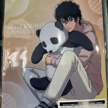 테니스의 왕자님 돈키 키리하라 아카야 클리어 파일 단품