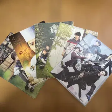 아라시 클리어 파일 5장 세트