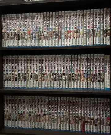 ONE PIECE 1-105권까지