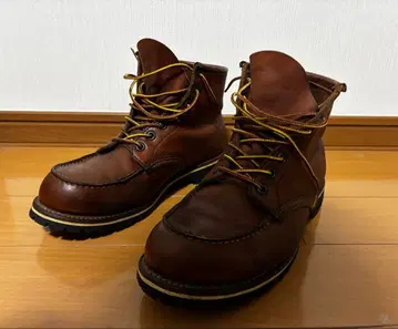 Red Wing 아이리쉬 세터 (8E)