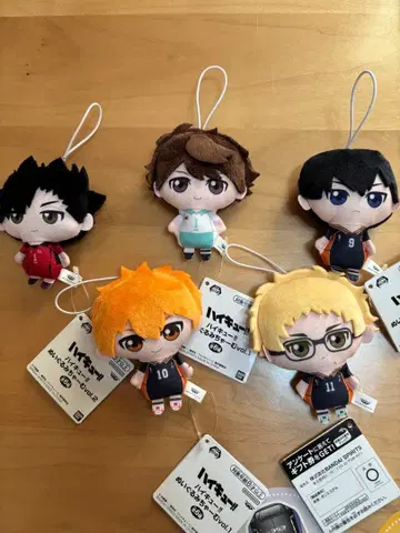 하이큐 SD 인형 5종 세트