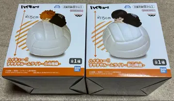 하이큐!! 스야스야 룸 라이트 히나타 쇼요 카게야마 토비오