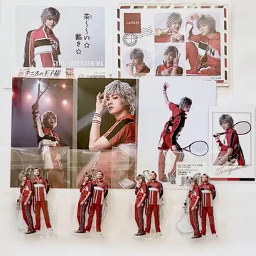 신 테니뮤 테니스의 왕자님 타네가시마 슈지 아키자와 켄타로 묶음 판매