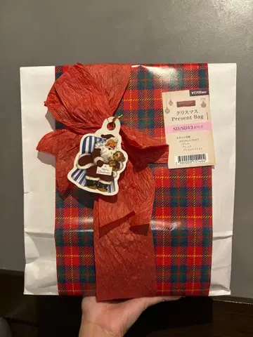 보크스 크리스마스 Present Bag SD10 SD13 여아