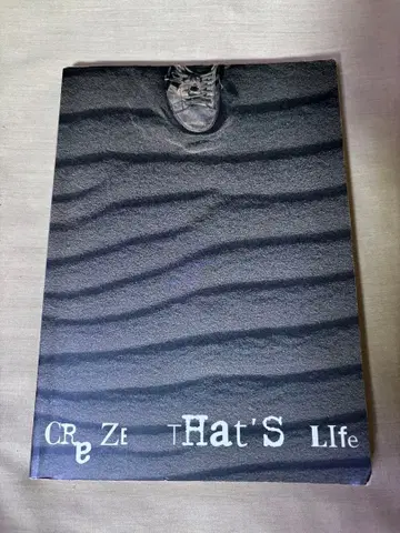 CRAZE That's Life 밴드 스코어